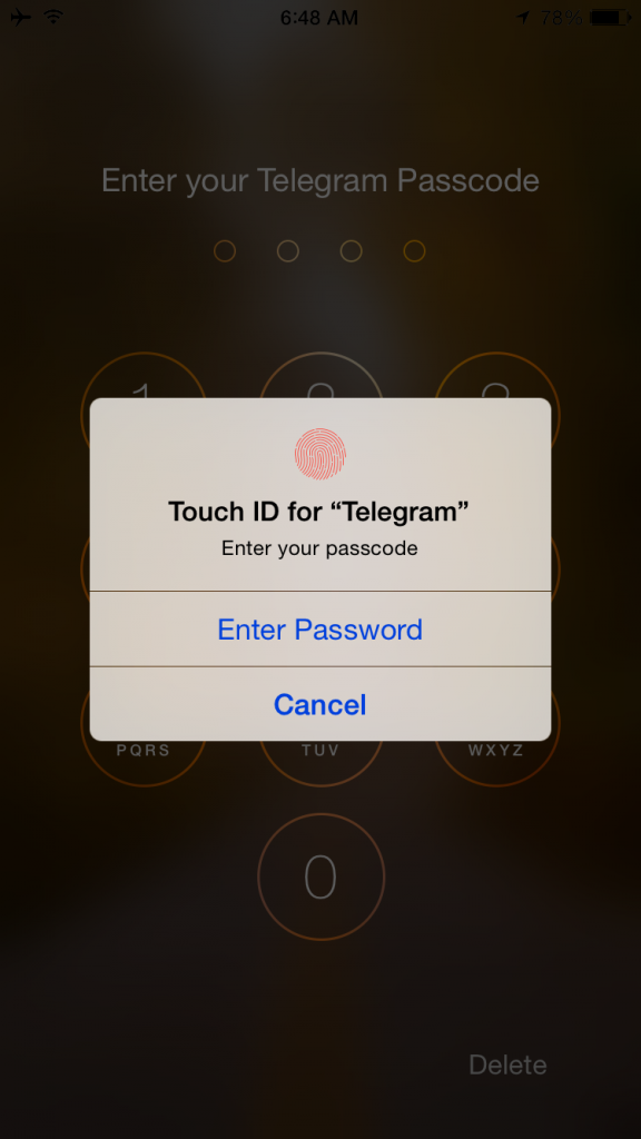     Telegram           img_1456551505_586.p
