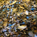     img_1473482700_684.j