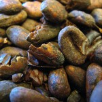     img_1473482700_698.j