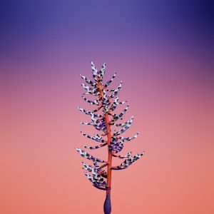 ������ �����8 iphone8 wallpaper img_1508565825_981.j